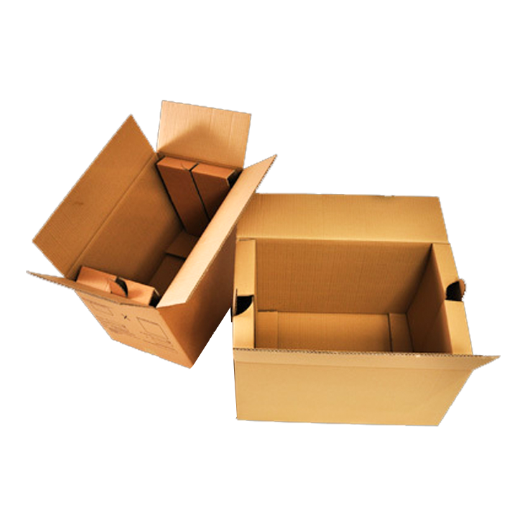 https://www.pacman.lk/wp-content/uploads/2019/04/Hanger-Pack-Cartons.png